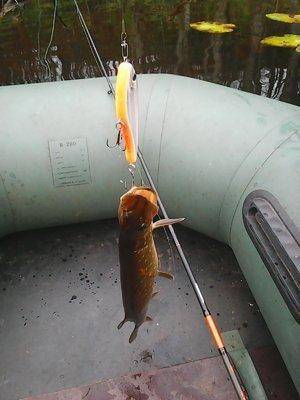 Рыбалка 18 октября 2016 001.jpg