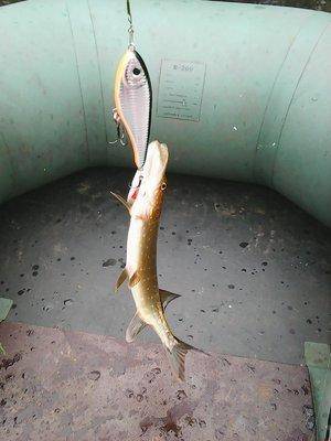 Рыбалка 18 октября 2016 004.jpg