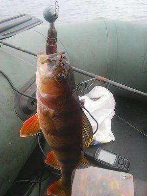 Рыбалка 18 октября 2016 008.jpg