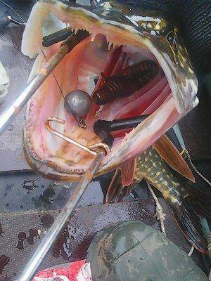 Рыбалка 18 октября 2016 014.jpg