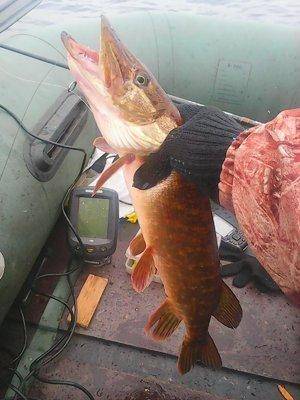 Рыбалка 18 октября 2016 015.jpg