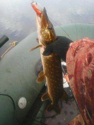 Рыбалка 19 октября 2016 001.jpg