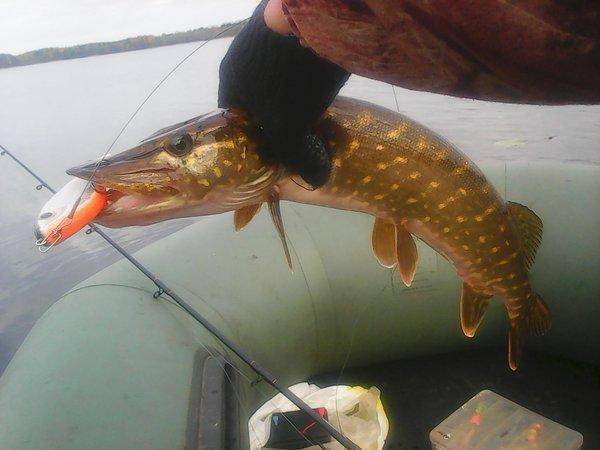 Рыбалка 19 октября 2016 004.jpg