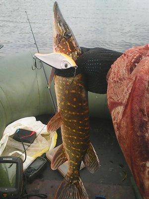 Рыбалка 19 октября 2016 012.jpg