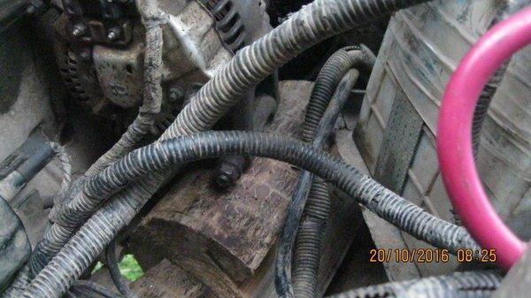 2016-10-20 08-25-24.JPG