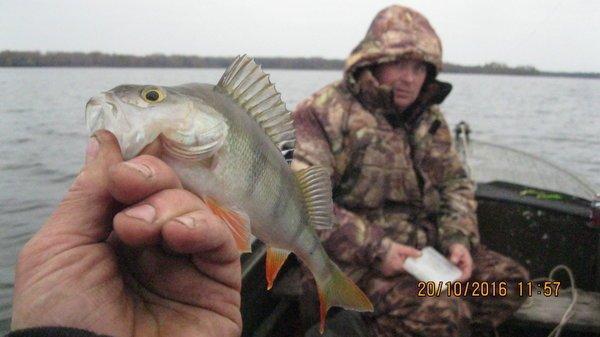 2016-10-20 11-57-16.JPG