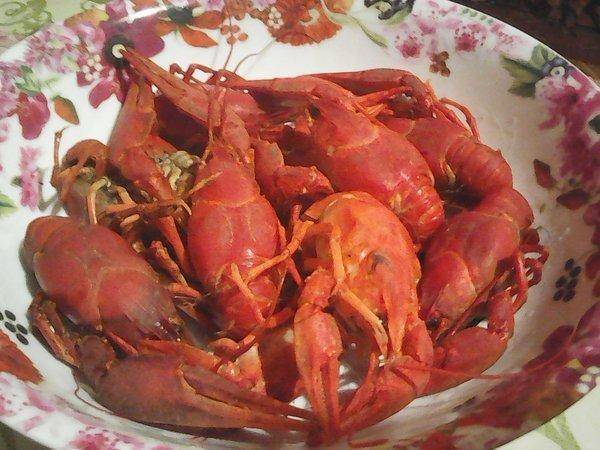 Рыбалка 22 октября 2016 010.jpg