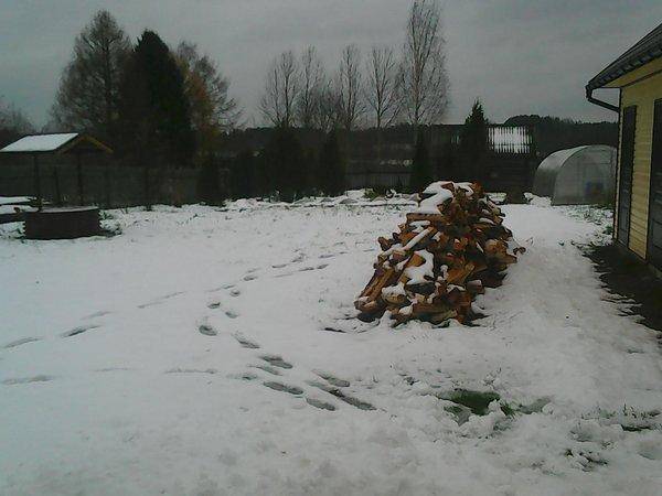 Вдруг наступила зима 011.jpg