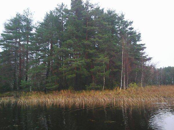 Рыбалка 29 октября 2016 015.jpg