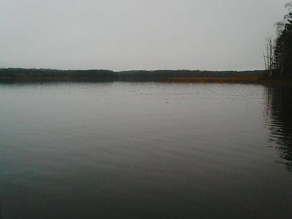 Рыбалка 29 октября 2016 020.jpg