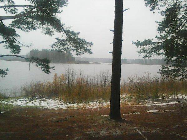 Рыбалка 30 октября 2016 002.jpg