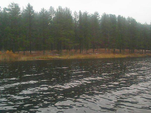 Рыбалка 30 октября 2016 005.jpg