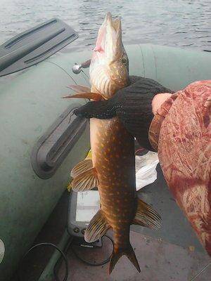 Рыбалка 30 октября 2016 008.jpg