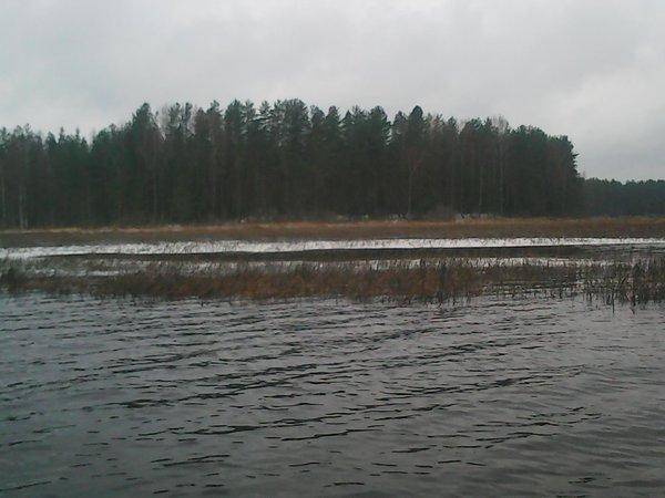 Рыбалка 30 октября 2016 011.jpg