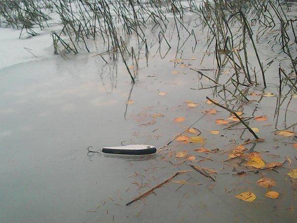 Рыбалка 30 октября 2016 017.jpg