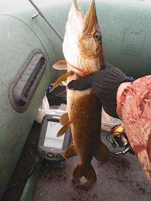 Рыбалка 31 октября 2016 012.jpg