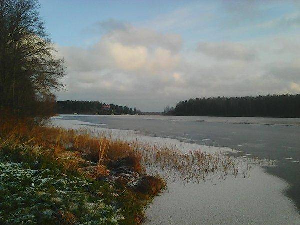 Заозерье  2 ноября 2016 002.jpg