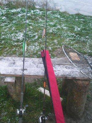 Заозерье  2 ноября 2016 006.jpg