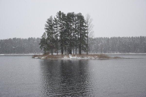 Прощание с летом 2016 и встреча зимы 2017 012.JPG