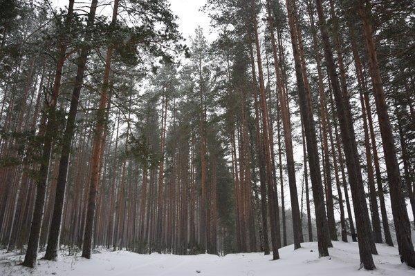 Прощание с летом 2016 и встреча зимы 2017 017.JPG