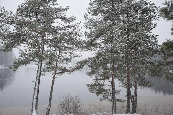 Прощание с летом 2016 и встреча зимы 2017 025.JPG