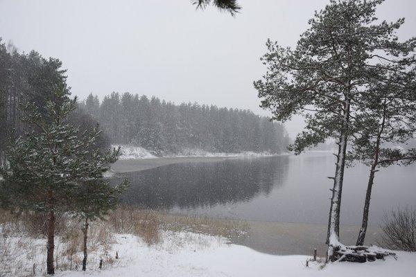 Прощание с летом 2016 и встреча зимы 2017 028.JPG
