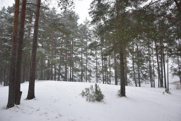 Прощание с летом 2016 и встреча зимы 2017 029.JPG