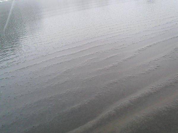 Рыбалка 4 ноября 2016 008.jpg