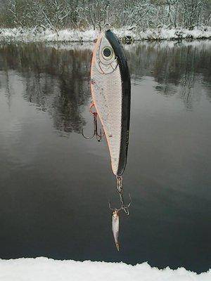 Джерки с берега 011.jpg