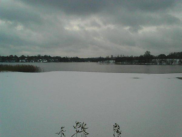 Джерки с берега 015.jpg