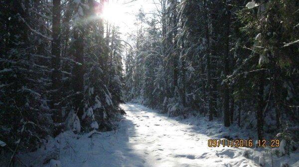 2016-11-09 12-29-59.JPG