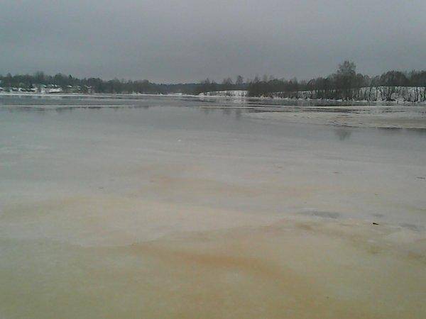 Боровно, 19 ноября 2016 006.jpg