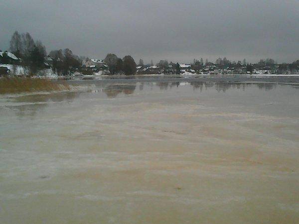 Боровно, 19 ноября 2016 009.jpg