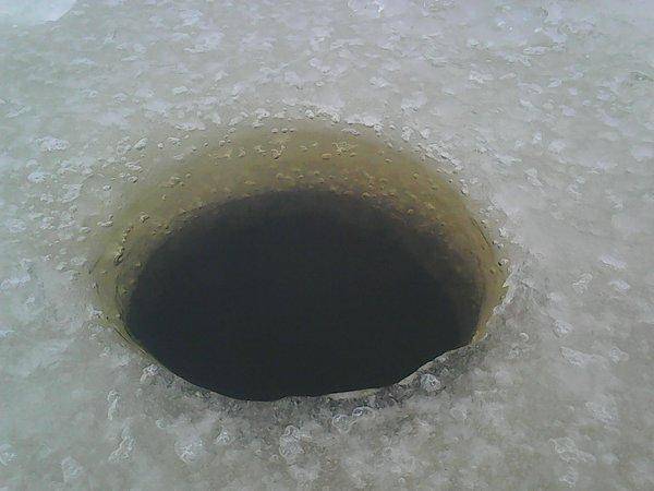 Боровно, 19 ноября 2016 011.jpg