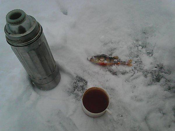 Боровно 1 декабря 2016 005.jpg