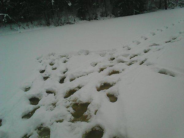 Боровно 1 декабря 2016 012.jpg