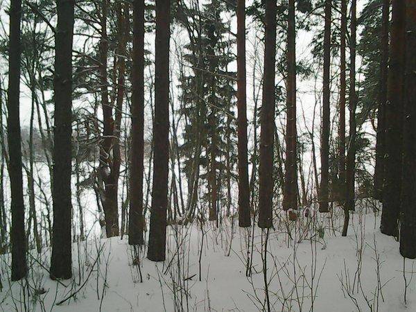 Боровно 1 декабря 2016 017.jpg