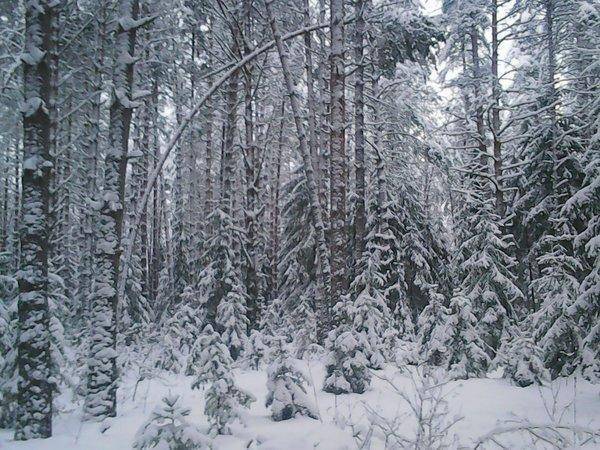 Розливы 2 декабря 2016 008.jpg