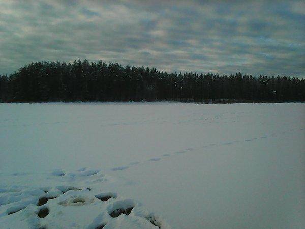 Розливы 2 декабря 2016 025.jpg