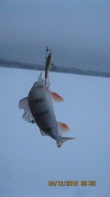 2016-12-04 09-05-48.JPG