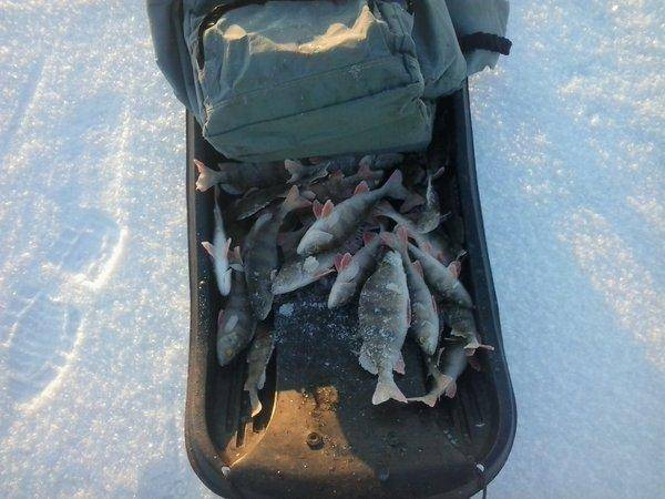 2016-12-12 15.19.16.jpg