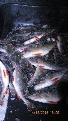 2016-12-14 19-00-28.JPG