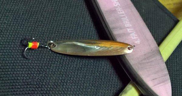 WP_20161220_22_13_24_Pro (2).jpg