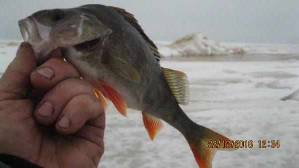 2016-12-22 12-34-19.JPG