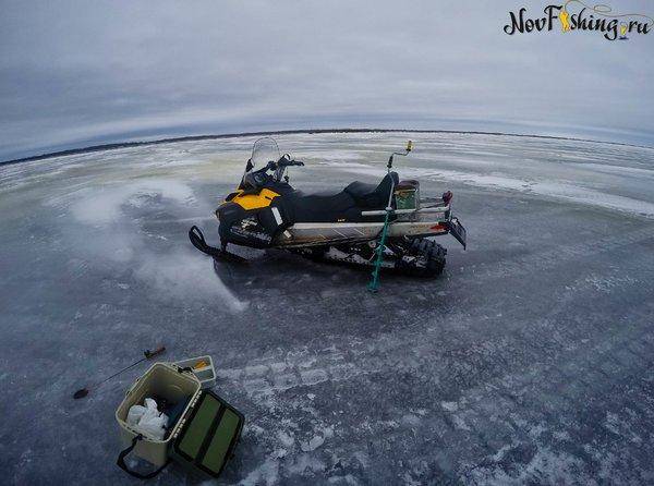 Бурый окунь 16-1 (3 of 1).jpg