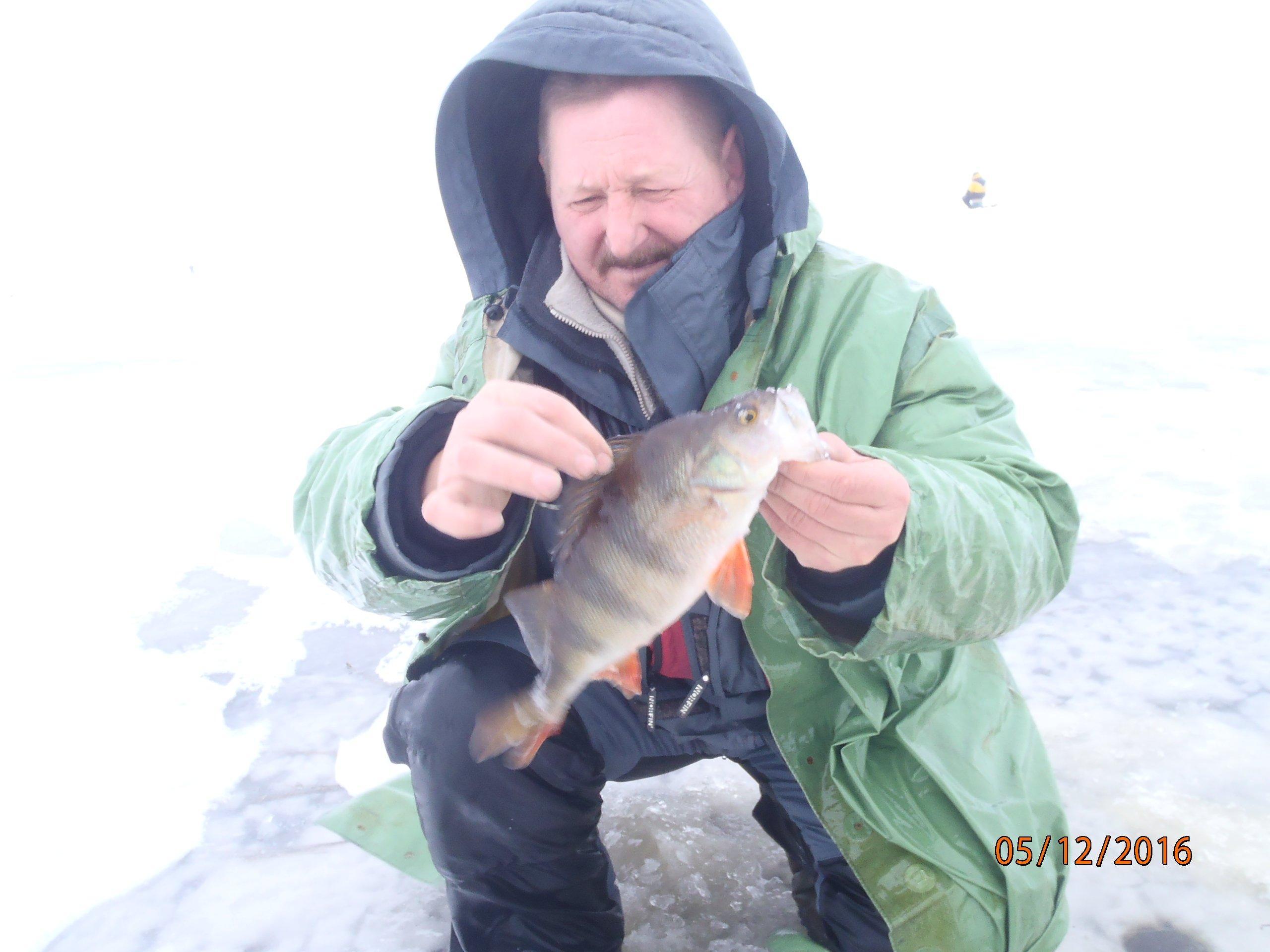 Отчеты: Зимний сезон 2016-2017 - Страница 9 - Вести с водоёмов - (10 лет)  NovFishing: Форум рыбаков и охотников