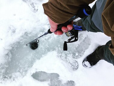 stinger forseage & stinger mirage