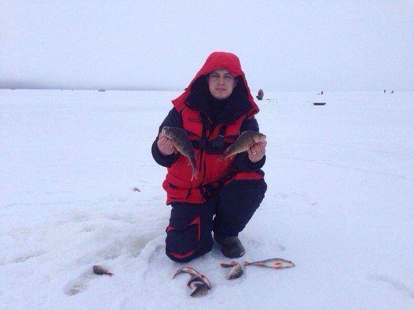 1234.thumb.jpg.3969c50e4298954659e94eed5