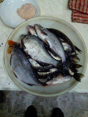 1485098980502.thumb.jpg.92200908cfc0fa9d