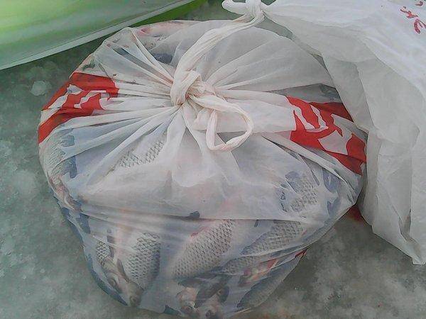 Кобона 14 января 2017 003.jpg